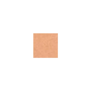 Clarins Tinted Oleo-Serum