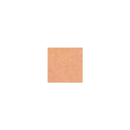 Clarins Tinted Oleo-Serum