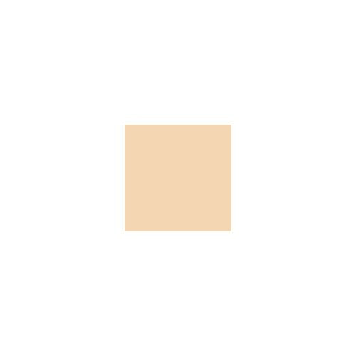 Shiseido Revitalessence Skin Glow Foundation Spf30