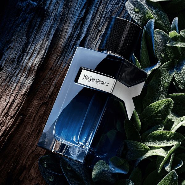 Yves Saint Laurent Y EDP