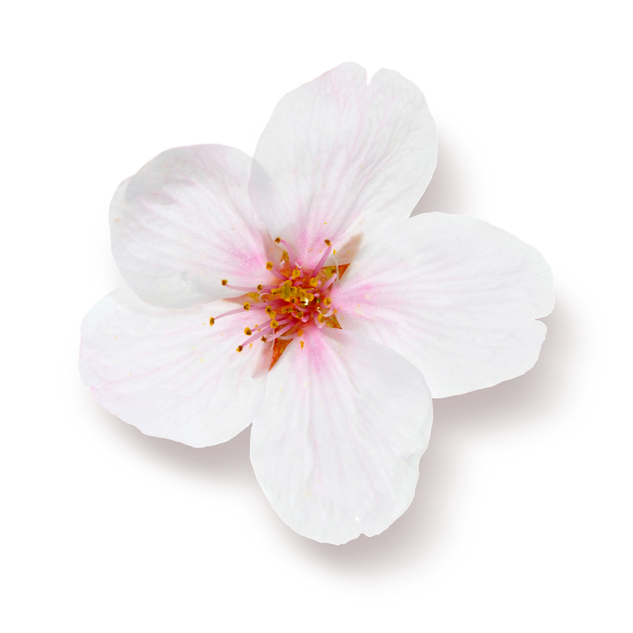 The Rituals Of Sakura Body Cream