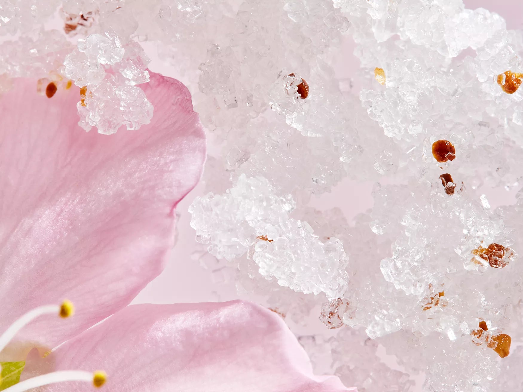 The Rituals Of Sakura Body Scrub