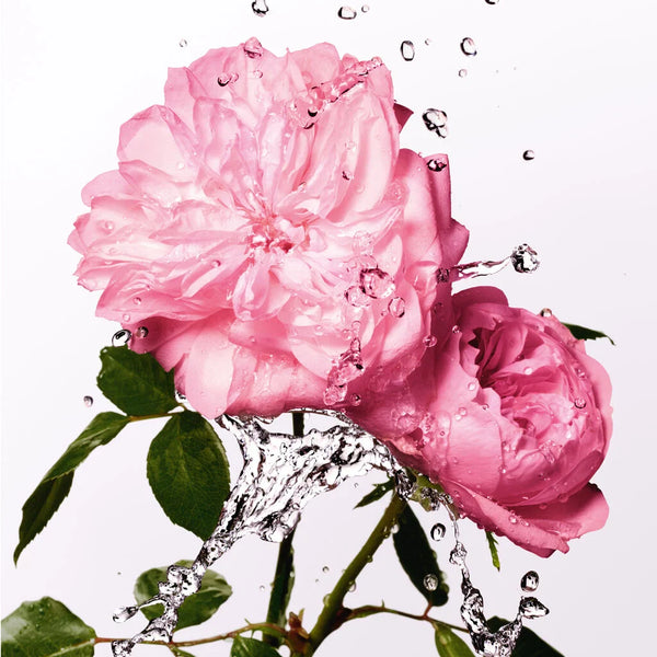 Miss Dior Rose Essence Eau de Toilette