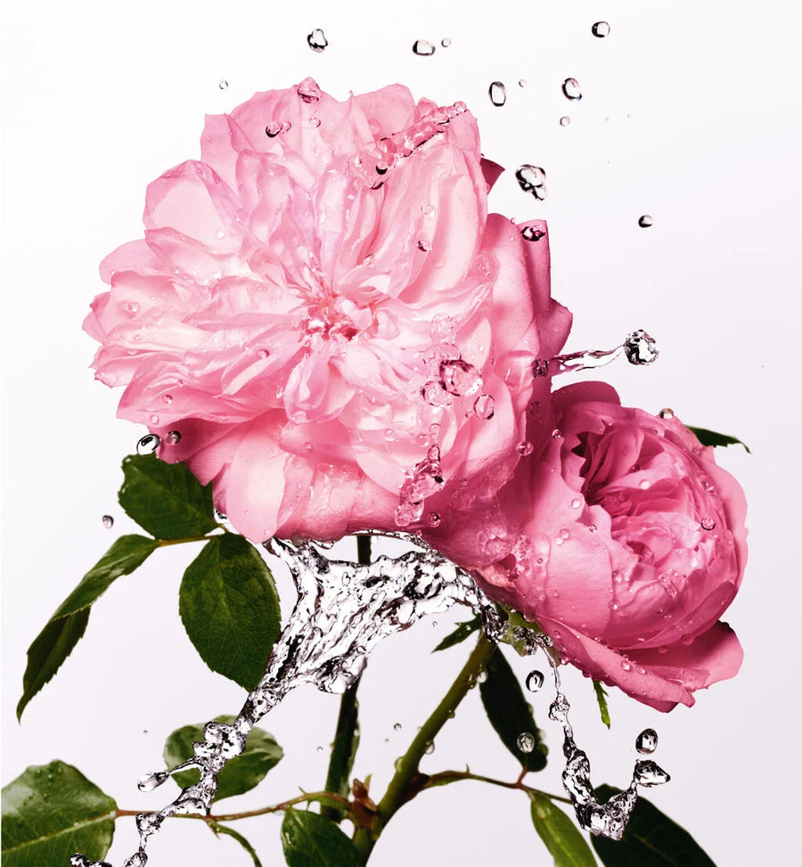 Miss Dior Rose Essence Eau de Toilette